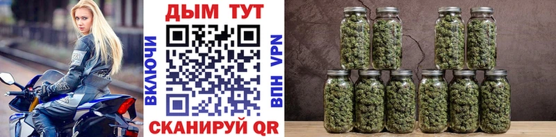 МАРИХУАНА OG Kush  Купить где  Курчатов 